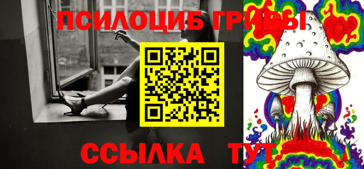 Куйбышев  Псилоцибиновые грибы мухоморы  как найти наркотики  Вход с VPN  Галлюциногенные грибы Magic Shrooms 
