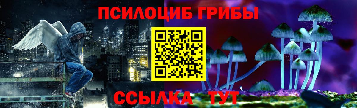 Псилоцибиновые грибы GOLDEN TEACHER Куйбышев